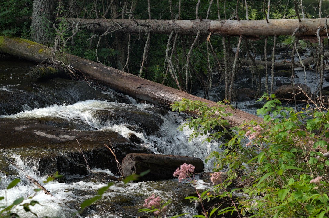 Waterflow