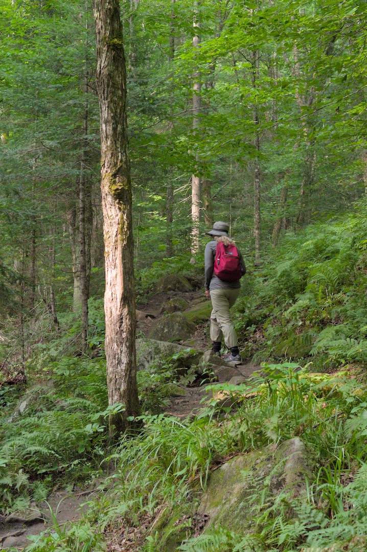 Sally on winding uphill path