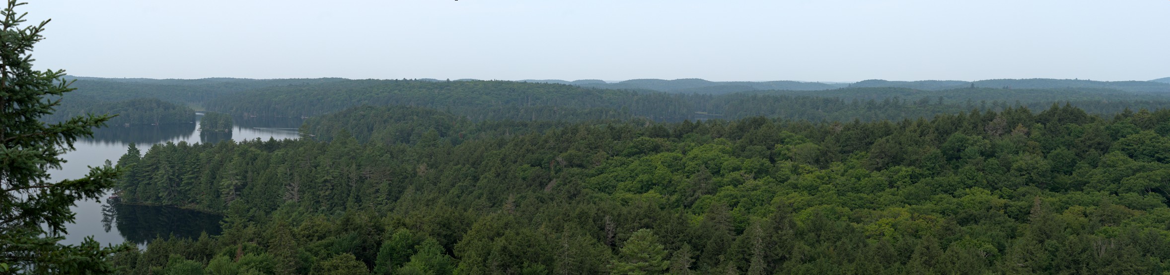 The view