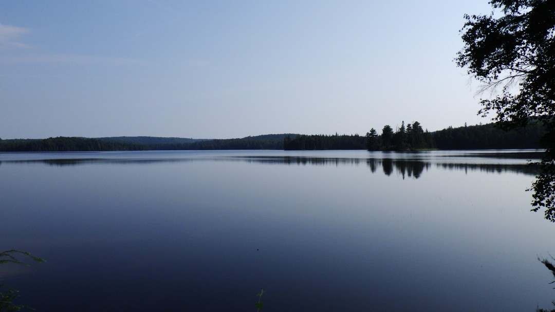Algonquin Park, days 1 and 2