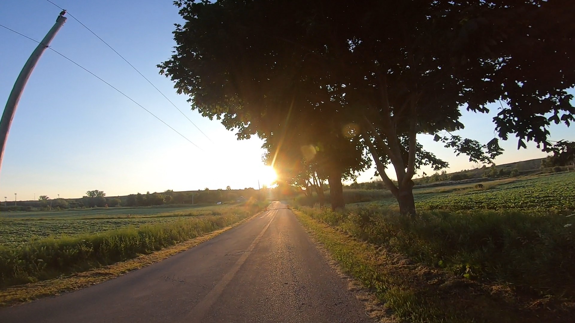 Sun over the fields