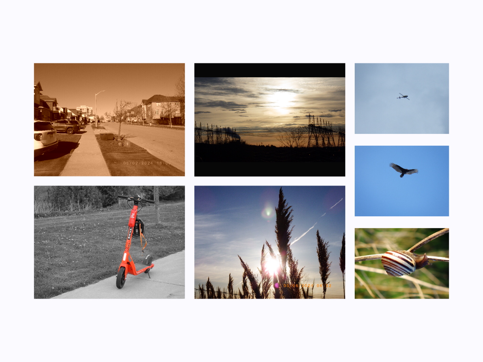 A collage of images taken with my WG-90