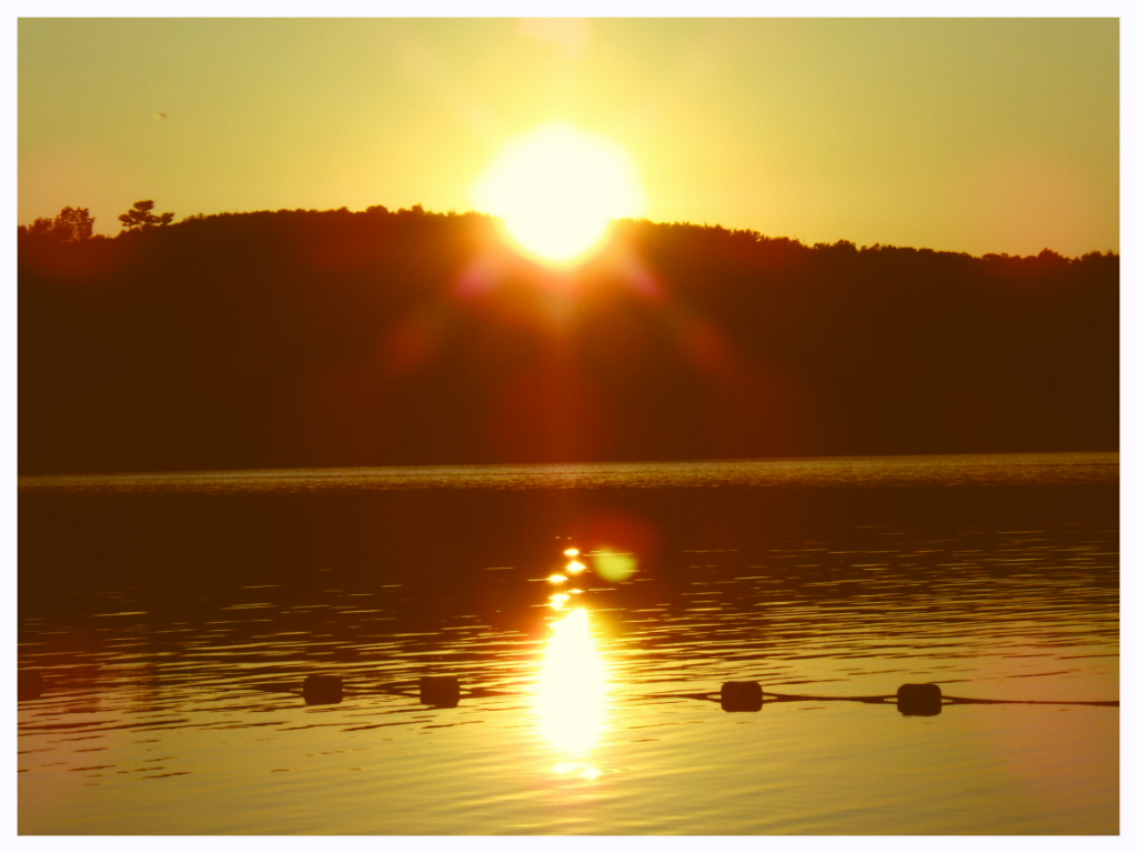 The sunset