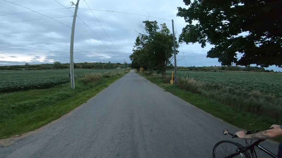 The road ahead